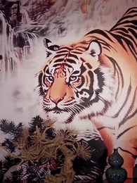 第23集 - 督軍府的小千金