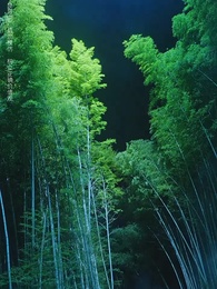 相見歡 - Episode 1