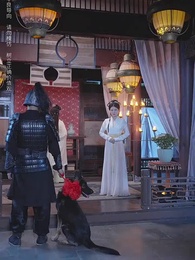 相見歡 - Episode 56