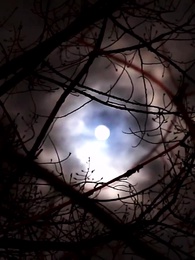 Eine Liebe durch das Schicksal - Episode 52