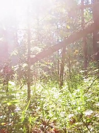 Episódio 68 - Amor do Destino