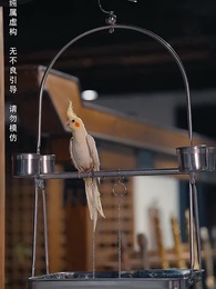 我有一個神奇古董店 - Episode 1