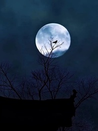 Episode 1 - Nobody Wants Him