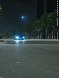 第44集 - 掌中嬌