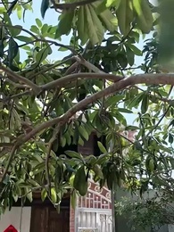 Kebaikan Pasti Akan Kembali - Episode 5