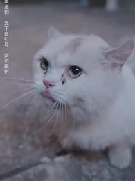 第72集 - 我有一個神奇古董店