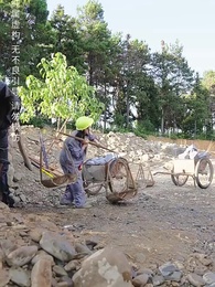 第17集 - 媽媽無罪