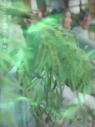 第70集 - 我有一個神奇古董店
