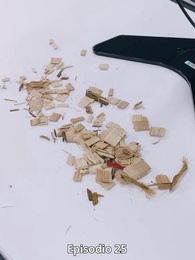 Episodio 25 - Jefa Oculta