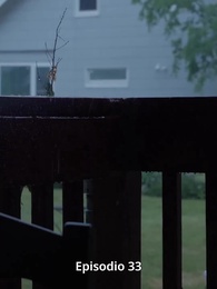 Atrapada por mi destino - Episode 33