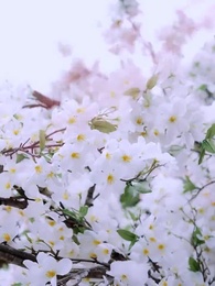 Balas Dendam Istri Pangeran - Episode 1