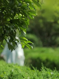 Tập 23 - Mộng Tương Tư