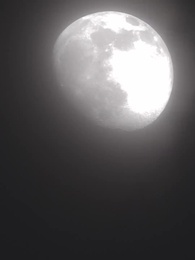 Mr. Vampire Wants Me EveryDay - Episode 50