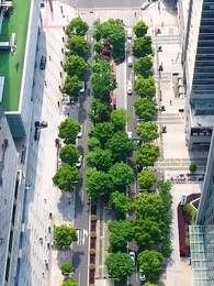 第18集 - 閃婚，綠茶夫人又砸錢虐了