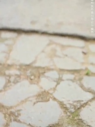 第6集 - 且將長生贈九州