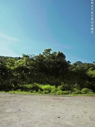 第48集 - 且將長生贈九州