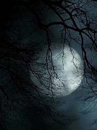 Episode 39 - Mr. Vampire Wants Me EveryDay