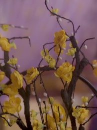 神医の毒妃 - Episode 20