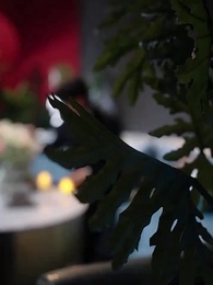 夢中註定我愛你 - Episode 27