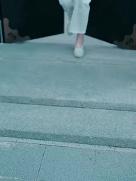 第55集 - 拳鎮山河