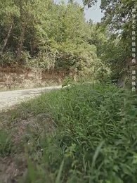 大慶第一帝 - Episode 64