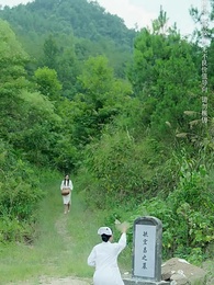 第37集 - 烽火四月芳菲盡