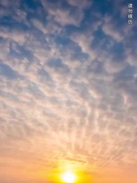 第47集 - 臥虎藏龍之楚飛傳