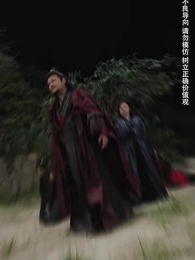 絕世武魂：陳楓 - Episode 24