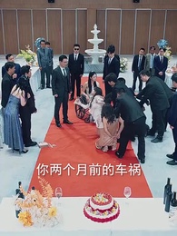 第27集 - 生日宴,美颯女兒驚艷全場