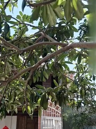 Episode 5 - Virtuous Deeds Lead to Happiness