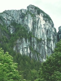 Episode 53 - The Alpha King Is My Second Mate