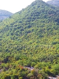 Episode 64 - The Alpha King Is My Second Mate