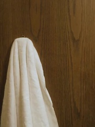 Episode 11 - The Alpha King Is My Second Mate