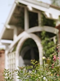 Episode 31 - Quintuplets, One Mom, Four Dads