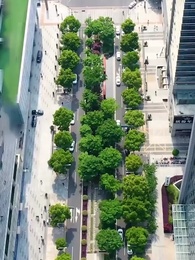 Flash Marriage, Wealthy Vengeance - Episode 18