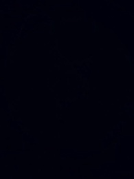 Episode 1 - Single Dad Hunt