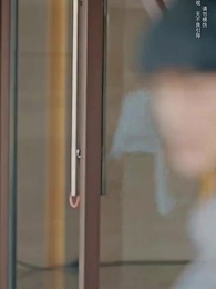 比翼難雙飛 - Episode 20