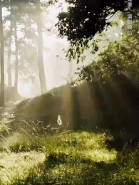 第32集 - 盲心貴女