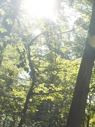 Episode 32 - Küss mich, mein bestimmtes Alpha