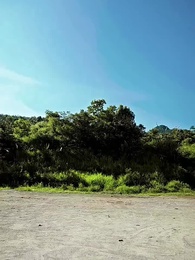 Episode 48 - Guardians of Avalor: Eternal Vow