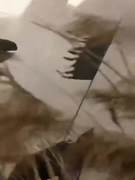 Episode 43 - Guardians of Avalor: Eternal Vow