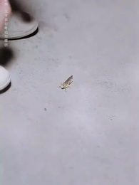 第24集 - 我,引爆世界