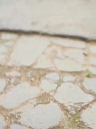 Guardians of Avalor: Eternal Vow - Episode 6