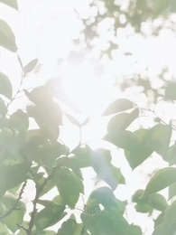 정체도 모르는 계약 결혼 - Episode 26