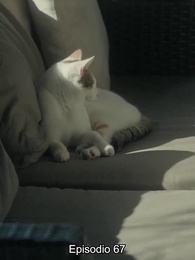 Episodio 67 - [Doblado] Rechazada por el Alfa