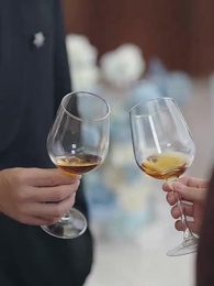 Marry CEO after Being Fired - Episode 31