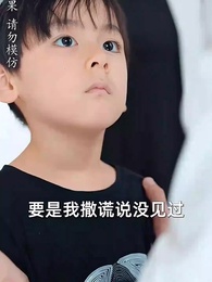 第27集 - 離婚後，我帶四崽炸翻前夫家