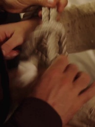 Episódio 70 - Amor à Primeira Vista