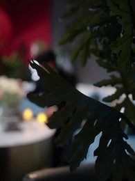 ตอนที่ 27 - ลิขิตฝัน ฉันรักเธอ