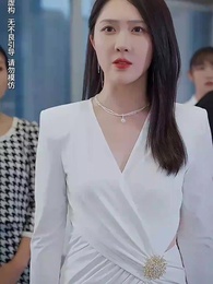 第22集 - 中年危機我閃婚美女總裁